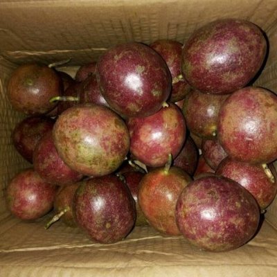 【福至亲】广西新鲜百香果5斤装 中大果 40个左右