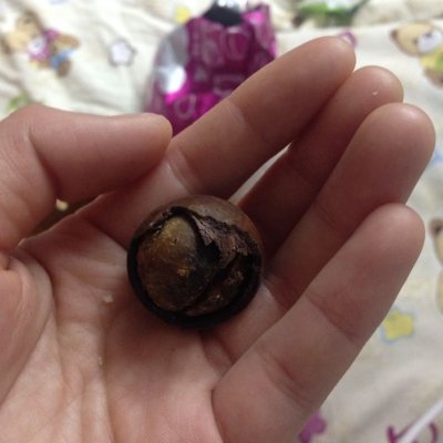 【口口福-镇店之宝a套餐633g】碧根果巴旦木夏威夷果 坚果组合