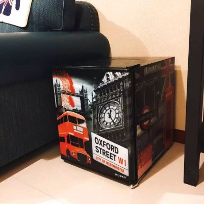 哈士奇(husky) bc-46oxa 46升 单门冰箱(牛津街)