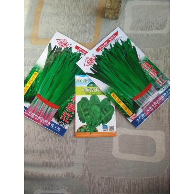 津沽园艺蔬菜种子韭菜种子独根红品种阳台菜园种植约10克包共2包