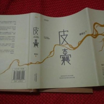 圖書 文學藝術 青春文學館 天津人民出版社 皮囊 商品評價 186*****56