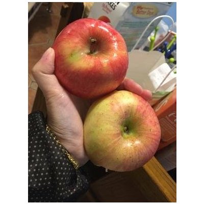 齐峰果业新疆阿克苏冰糖心红富士苹果12颗装