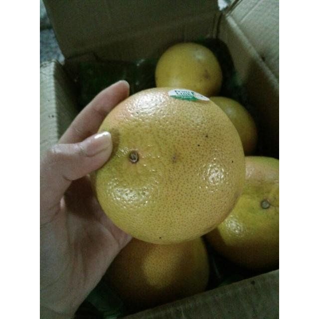 鲜之优果 南非西柚 红心葡萄柚 6个装 单果进口水果好苦好小-苏宁易购