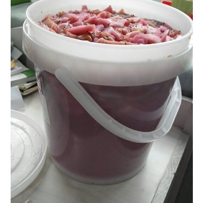 和风来酵素桶10l 日本原装进.