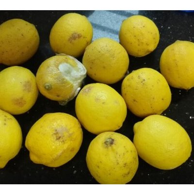 【柠檬小仙】安岳柠檬新鲜水果 丑果5斤装 2500g有坏包赔