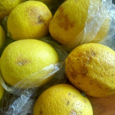 【柠檬小仙】安岳柠檬新鲜水果 .