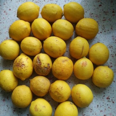 【柠檬小仙】安岳柠檬新鲜水果 丑果5斤装 2500g有坏包赔