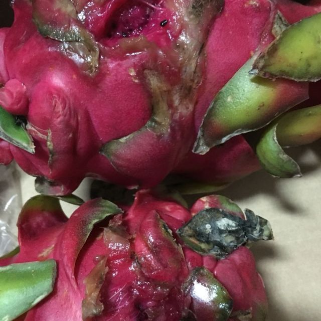 鲜果来了越南进口火龙果红心红肉5斤农家特产时令新鲜水果非广西产单