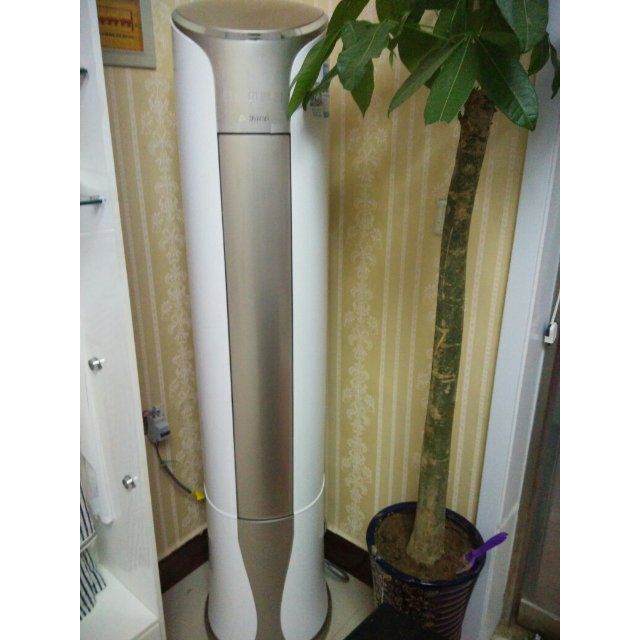 志高chigo2匹冷暖定频除pm25除甲醛圆柱式柜机空调newld18c1h3