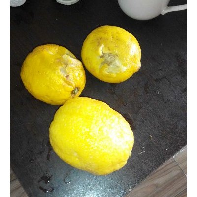 【柠檬小仙】安岳柠檬新鲜水果 .