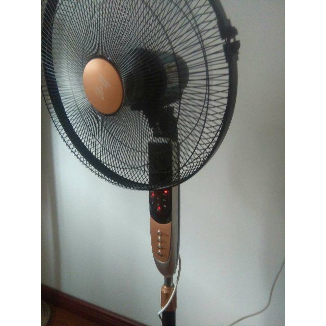 钻石牌电风扇遥控式静音落地风扇fs-40a遥控纯铜电机三叶家用立式