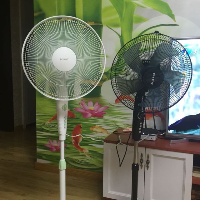 三叶机械爆款 格力(tosot)落地扇fde-40电风扇一起买的:一台是格力