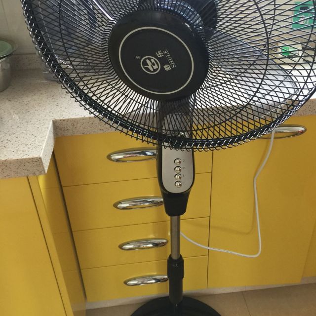 舒乐(shule)电风扇落地扇 fl24-40 五叶黑色机械版