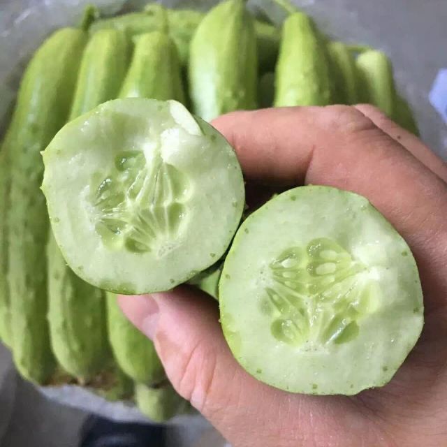 中华特色烟台馆沃佳黄瓜500g份胶东旱黄瓜新鲜蔬菜水果黄瓜小黄瓜华东