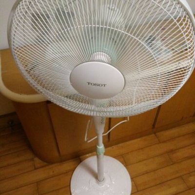 厨卫电器 生活电器 生活小家电 电风扇 格力(gree) 大松(tosot)电风扇