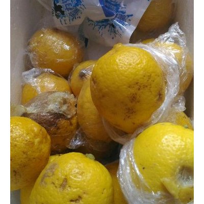 【柠檬小仙】安岳柠檬新鲜水果 丑果5斤装 2500g有坏包赔