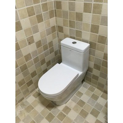 自洁釉节水静音坐便器 抽水马桶ab1118md pp缓降盖板