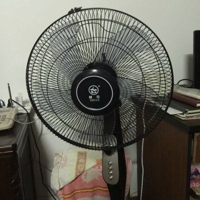 舒乐(shule)电风扇落地扇 fl24-40 五叶黑色机械版
