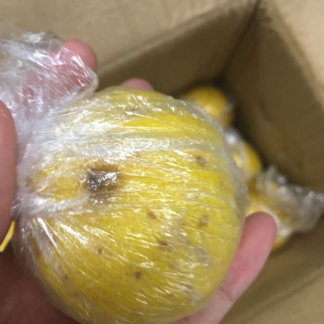 【柠檬小仙】安岳柠檬新鲜水果 丑果5斤装 2500g有坏包赔