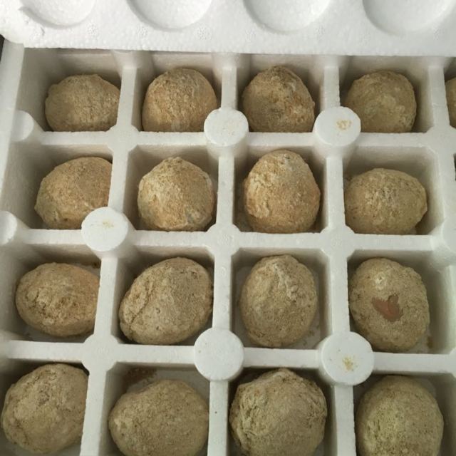 【中华特色馆】南京馆 鸡蛋变蛋农家灰包蛋10枚 约500g