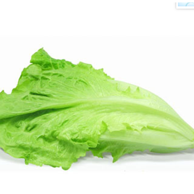 绿叶生菜约500g【美味苏】精选叶菜