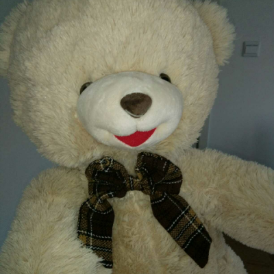 8米毛绒玩具熊公仔布娃娃 超大玩具熊 抱抱熊 ted熊玩偶【中华特色馆