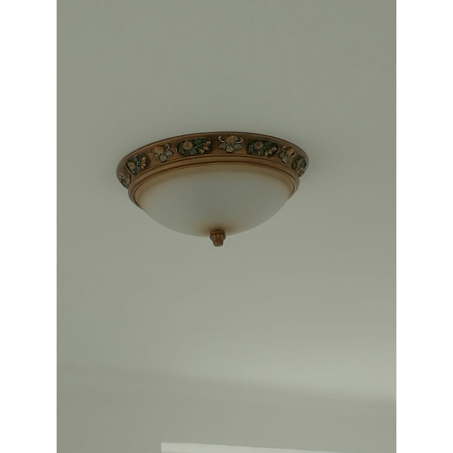 路两次上门因为灯多一天没安完灯漂亮经济实惠在苏宁网上买东西很放心