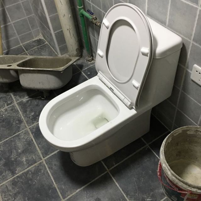 两个马桶,质量一样好!