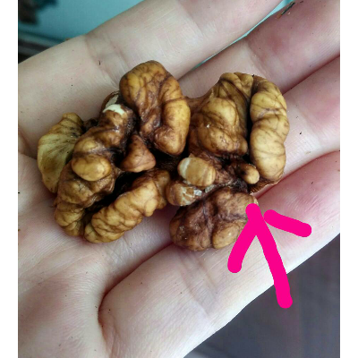 异域谜底 新疆特产 无漂白薄皮核桃450g原味无添加孕妇零食无加工食品