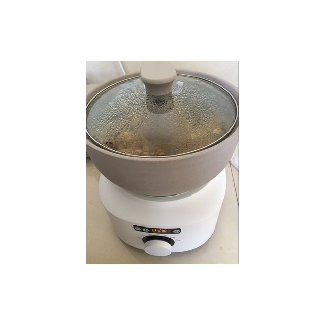 philips/飞利浦 hr2210 汽锅醇汤煲 多功能电炖煲汤锅 电炖盅bb煲