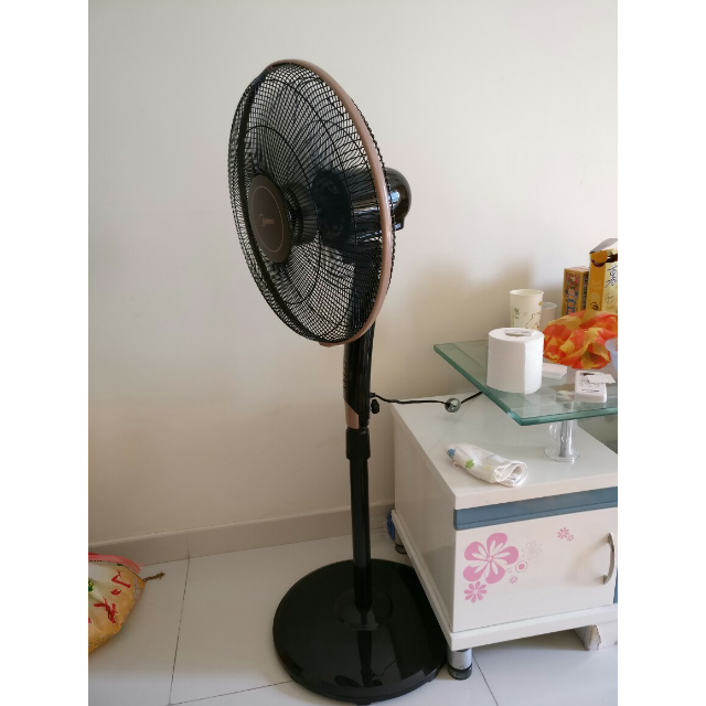 美的(midea)电风扇 静音遥控五叶落地扇 电扇 fs40-13gr