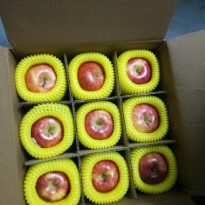 【苏宁自营】百宝源 新西兰加力果 苹果 新鲜水果 9个单果(150-180g)