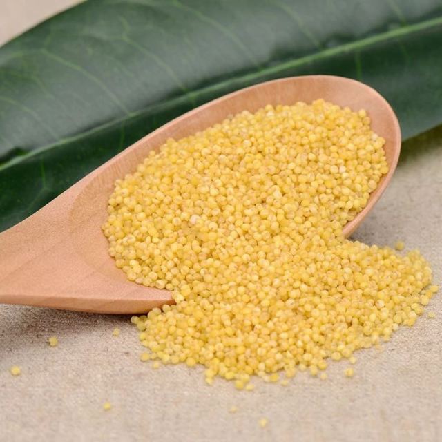 > 农垦黑龙江 豆都有机小米 东北黄小米 五谷杂粮 400g*1袋装商品评价