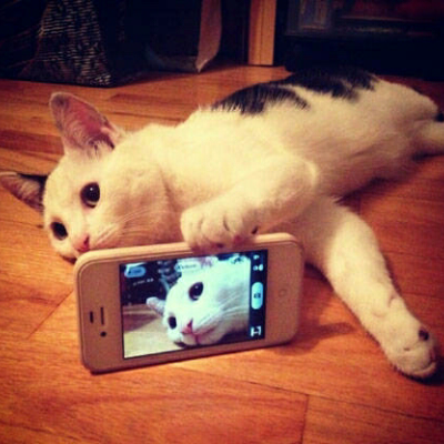 洋河海之蓝42度375ml怎么样_洋河海之蓝42度375ml好吗_有图评价-苏宁