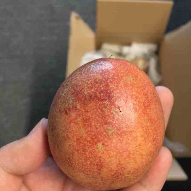 广西特产新鲜百香果中果一级果 10个 新鲜时令国产水果