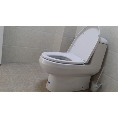 美标卫浴 连体马桶 虹吸式 双.