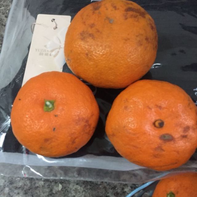 秭归馆 无籽薄皮 屈乡精品蜜桔10斤装包邮