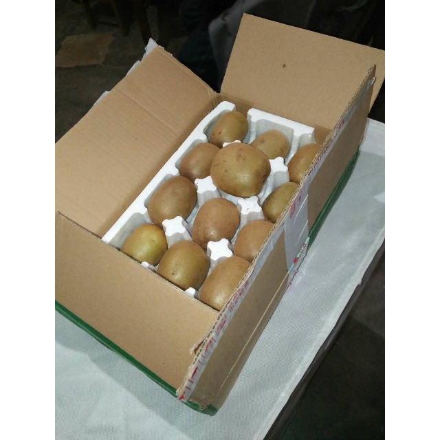 福至亲 四川蒲江黄心猕猴桃15个装 单果约70-90g 奇异果金果新鲜水果