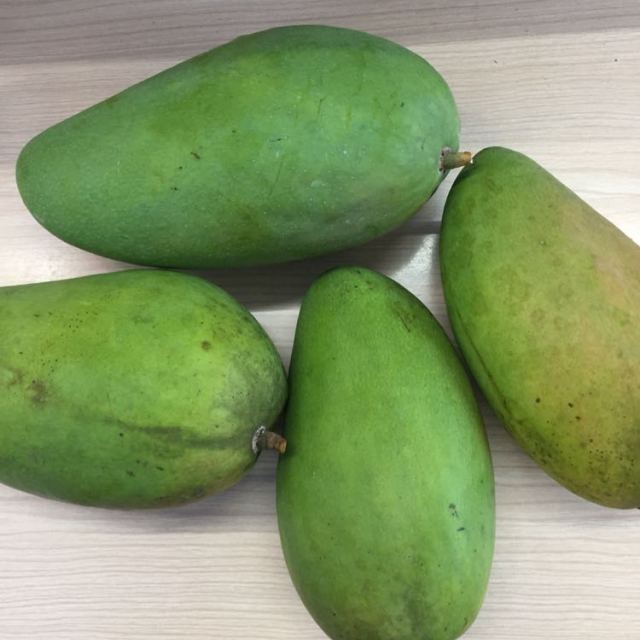 【坏果包赔】海南芒果 新鲜水果 三亚青皮芒果 大青芒 3斤 分享装