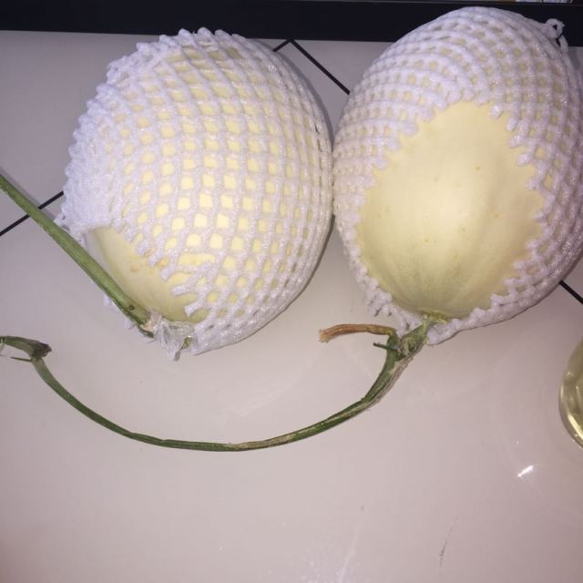 【白玉甜瓜】白皮淡绿肉贺兰山甜瓜2个装6-7斤 农家自种