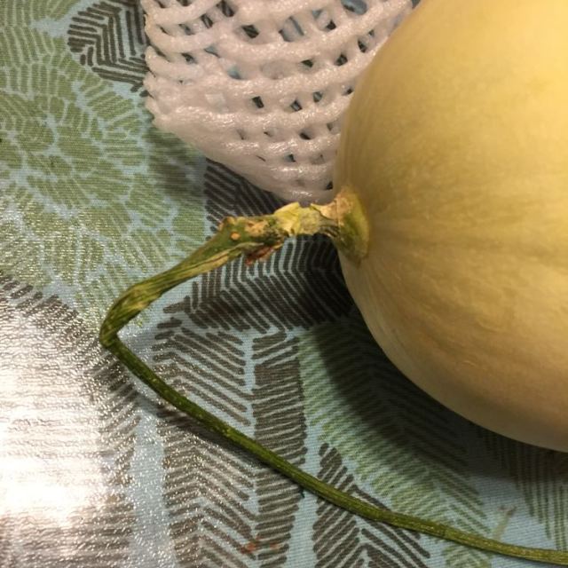 【白玉甜瓜】白皮淡绿肉贺兰山甜瓜2个装6-7斤 农家自种