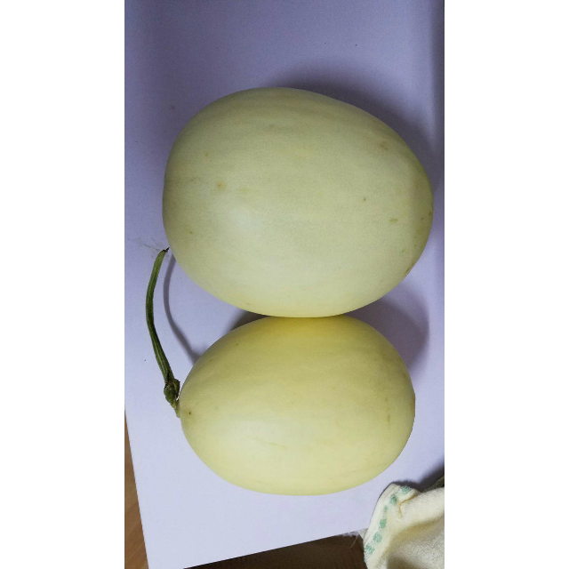 【白玉甜瓜】白皮淡绿肉贺兰山甜瓜2个装6-7斤 农家自种