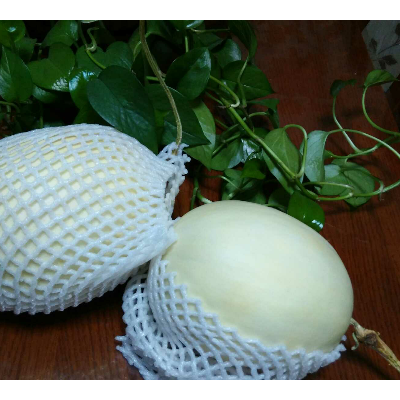 白皮甜瓜2个装