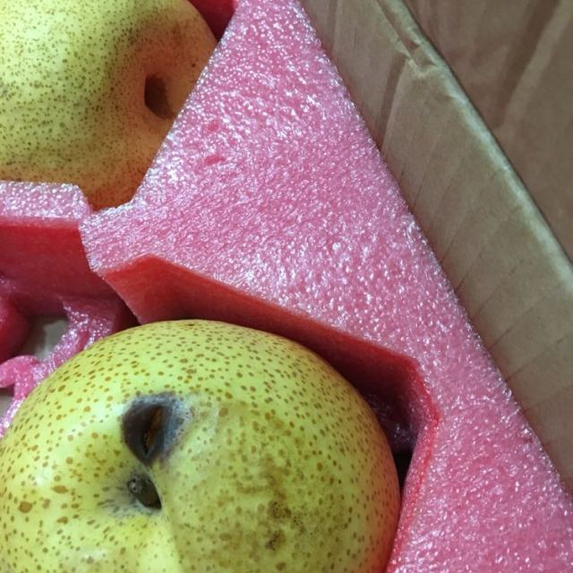 砀山酥梨10斤 砀山地标产品 新鲜采摘商品评价 > 有一个坏的,16斤1