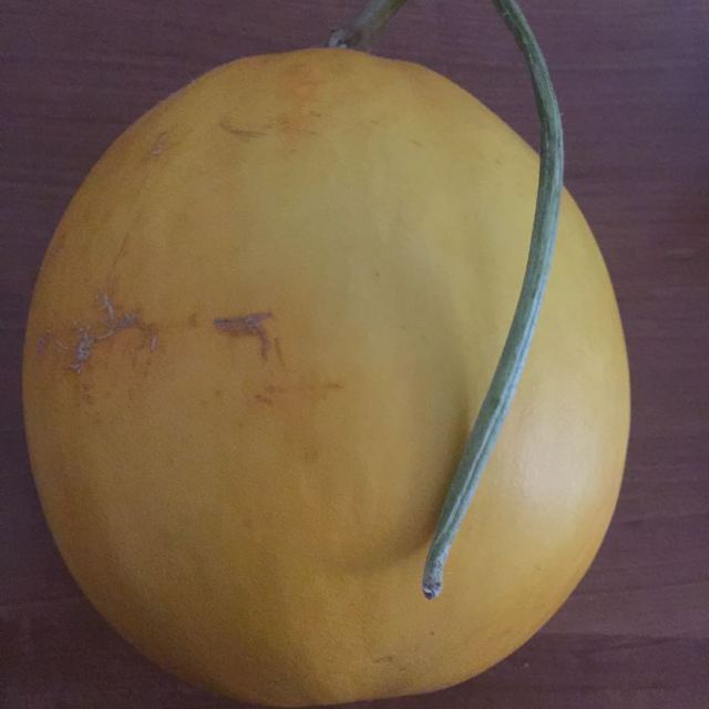 黄金甜瓜黄皮白肉贺兰山甜瓜2个装67斤农家自种