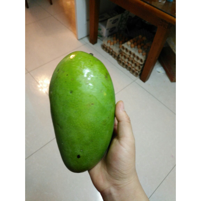 > 【南山寿果】海南水果 三亚大青芒 新鲜芒果绿皮大芒果10斤装 现摘