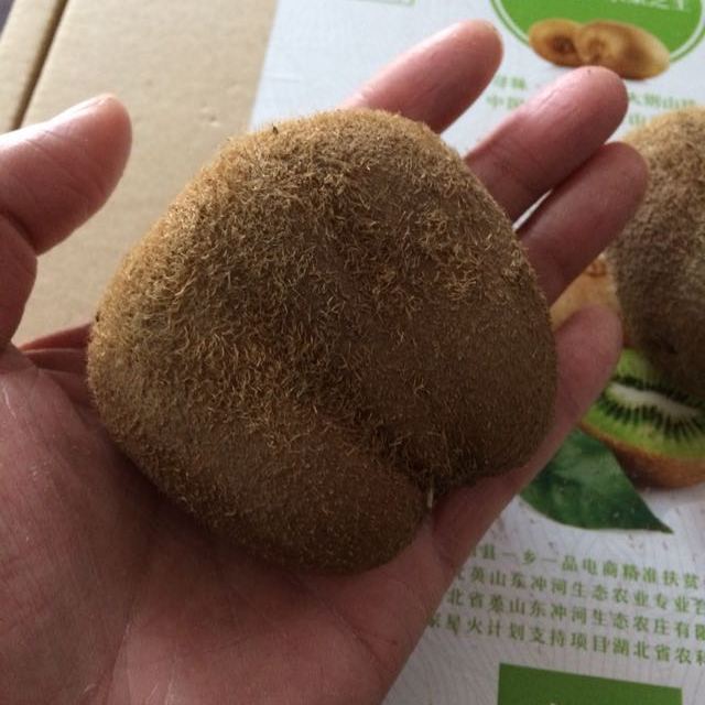 【中华特色馆】英山馆金魁猕猴桃12枚装 单果90-120g 绿心奇异果新鲜