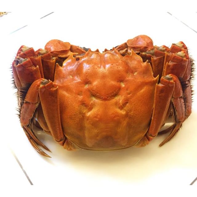 洪湖清水大闸蟹 现货螃蟹生鲜活2两公蟹16只顺丰优选 礼盒包邮