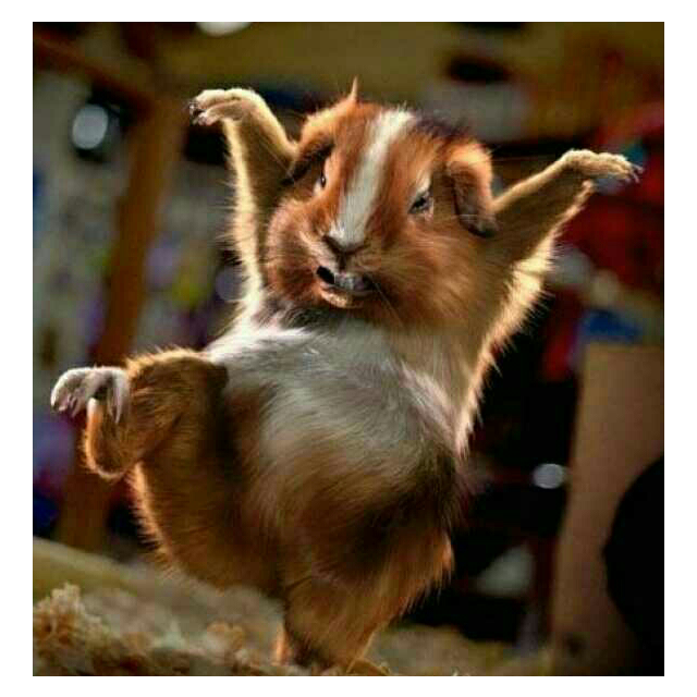 > 【苏宁超市】贝贝熊暖贴50片礼盒装保暖贴商品评价 > 好