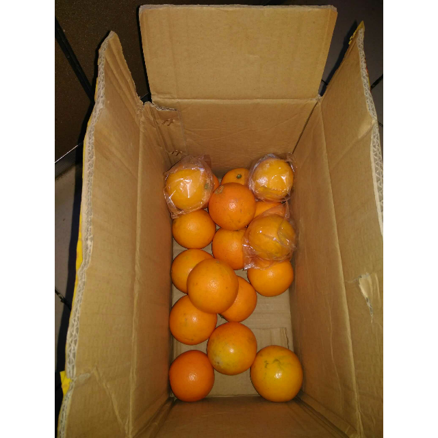 【电商扶贫】湘西馆 湘西里耶脐橙果径65-75mm 约5斤装